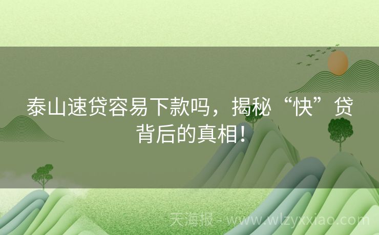 泰山速贷容易下款吗，揭秘“快”贷背后的真相！