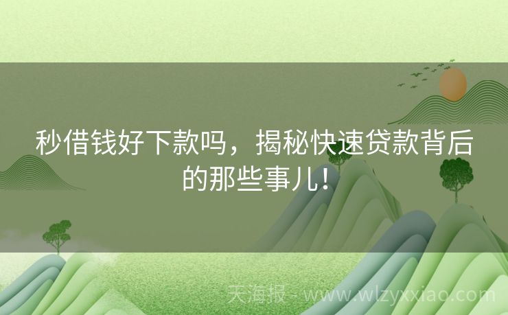 秒借钱好下款吗，揭秘快速贷款背后的那些事儿！