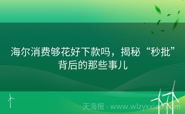 海尔消费够花好下款吗，揭秘“秒批”背后的那些事儿
