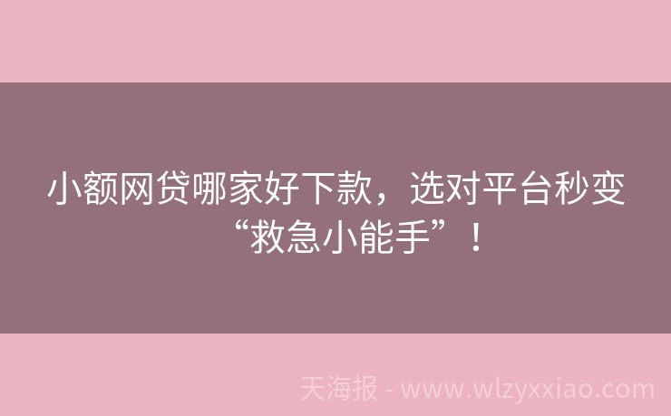 小额网贷哪家好下款，选对平台秒变“救急小能手”！