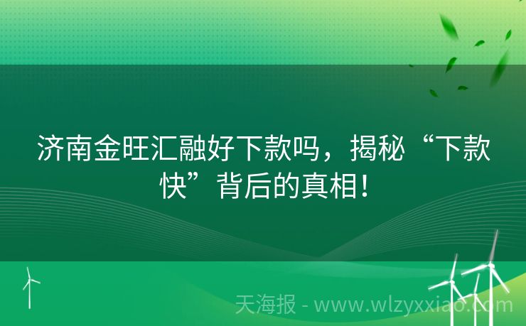 济南金旺汇融好下款吗，揭秘“下款快”背后的真相！