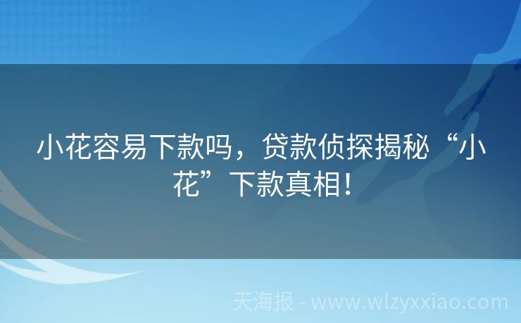 小花容易下款吗，贷款侦探揭秘“小花”下款真相！