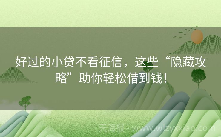 好过的小贷不看征信，这些“隐藏攻略”助你轻松借到钱！