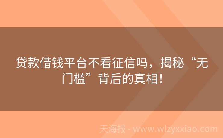 贷款借钱平台不看征信吗，揭秘“无门槛”背后的真相！