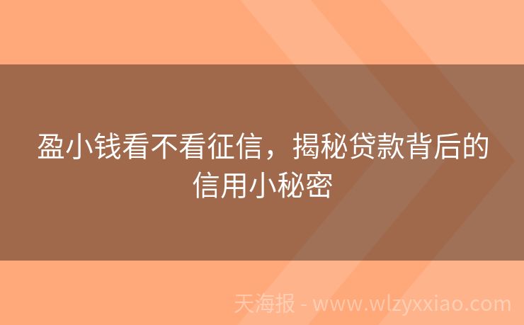 盈小钱看不看征信，揭秘贷款背后的信用小秘密