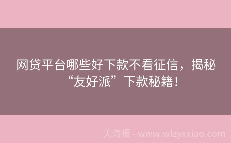 网贷平台哪些好下款不看征信，揭秘“友好派”下款秘籍！