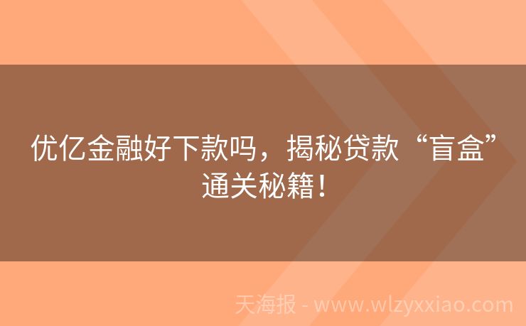 优亿金融好下款吗，揭秘贷款“盲盒”通关秘籍！