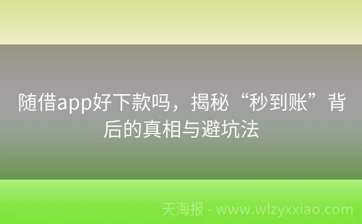 随借app好下款吗，揭秘“秒到账”背后的真相与避坑法