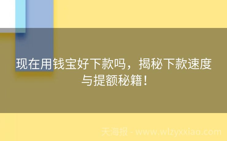 现在用钱宝好下款吗，揭秘下款速度与提额秘籍！