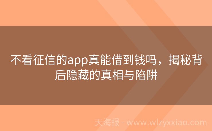 不看征信的app真能借到钱吗，揭秘背后隐藏的真相与陷阱