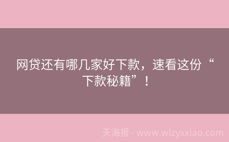 网贷还有哪几家好下款，速看这份“下款秘籍”！