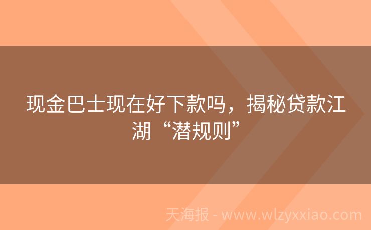现金巴士现在好下款吗，揭秘贷款江湖“潜规则”