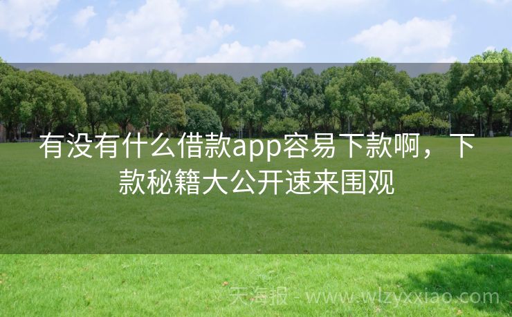 有没有什么借款app容易下款啊，下款秘籍大公开速来围观