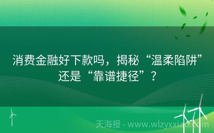 消费金融好下款吗，揭秘“温柔陷阱”还是“靠谱捷径”？