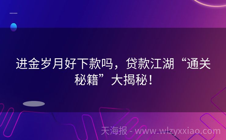 进金岁月好下款吗，贷款江湖“通关秘籍”大揭秘！