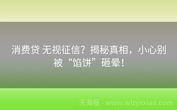 消费贷 无视征信？揭秘真相，小心别被“馅饼”砸晕！