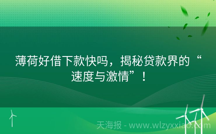 薄荷好借下款快吗，揭秘贷款界的“速度与激情”！