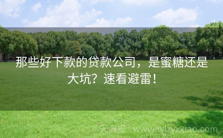 那些好下款的贷款公司，是蜜糖还是大坑？速看避雷！