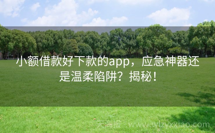 小额借款好下款的app，应急神器还是温柔陷阱？揭秘！