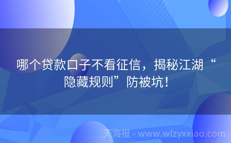 哪个贷款口子不看征信，揭秘江湖“隐藏规则”防被坑！
