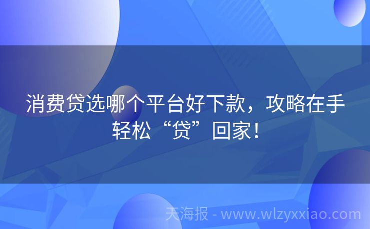 消费贷选哪个平台好下款，攻略在手轻松“贷”回家！