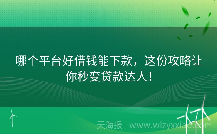 哪个平台好借钱能下款，这份攻略让你秒变贷款达人！