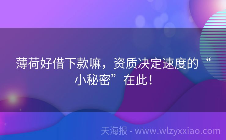 薄荷好借下款嘛，资质决定速度的“小秘密”在此！