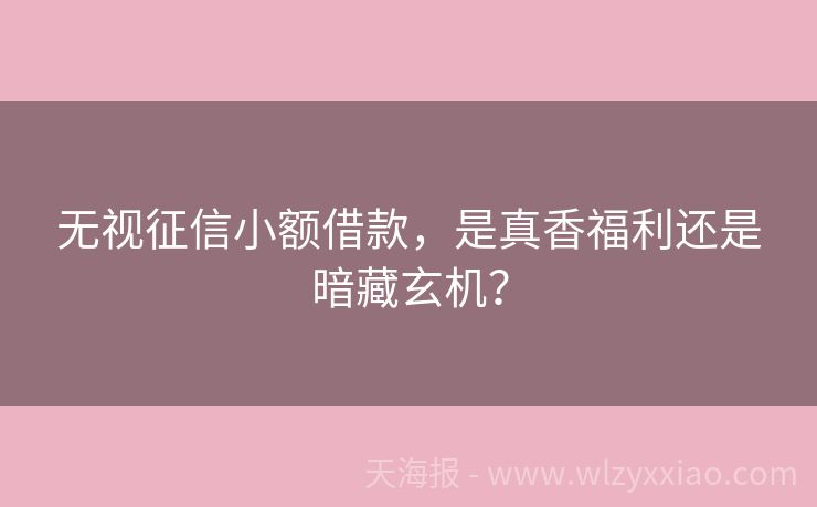 无视征信小额借款，是真香福利还是暗藏玄机？