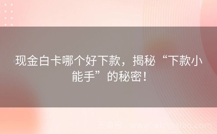 现金白卡哪个好下款，揭秘“下款小能手”的秘密！