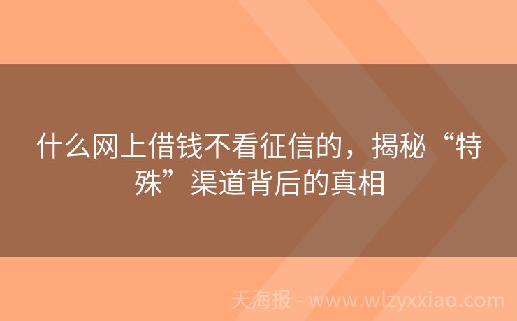 什么网上借钱不看征信的，揭秘“特殊”渠道背后的真相