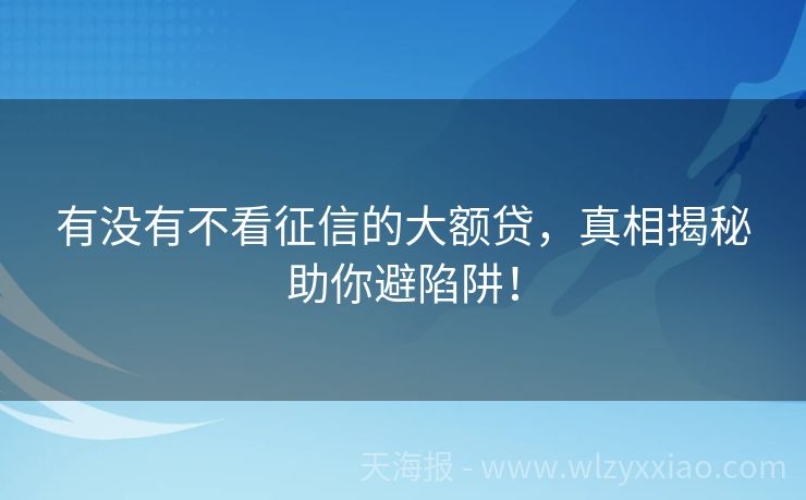有没有不看征信的大额贷，真相揭秘助你避陷阱！