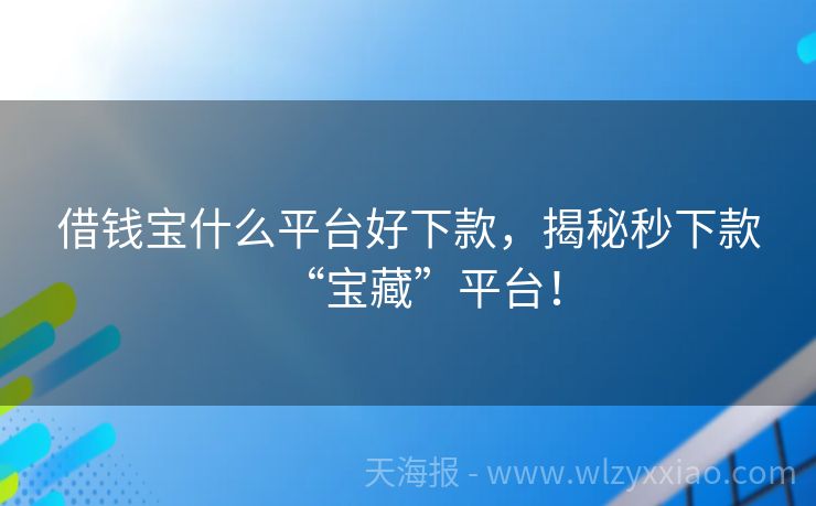 借钱宝什么平台好下款，揭秘秒下款“宝藏”平台！
