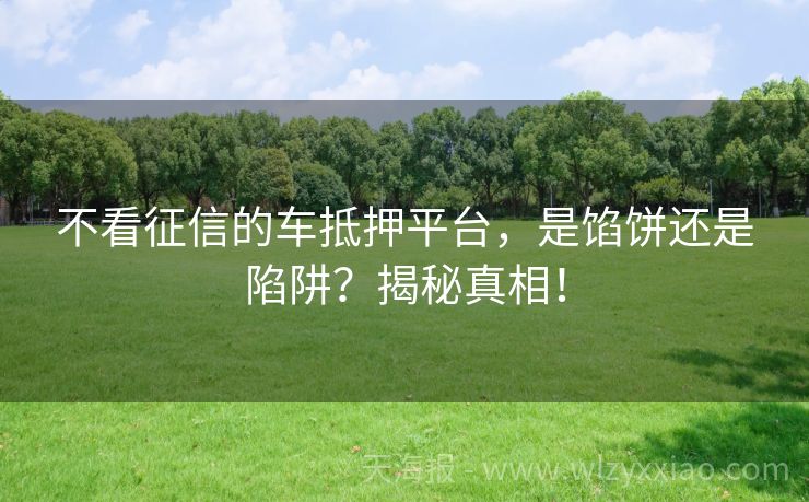 不看征信的车抵押平台，是馅饼还是陷阱？揭秘真相！