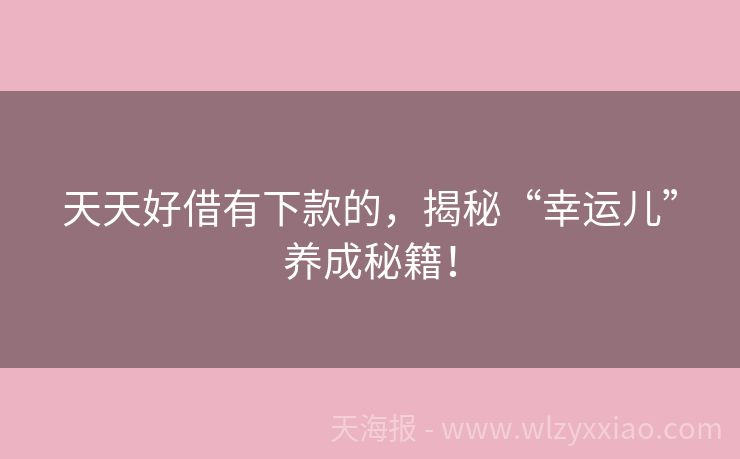 天天好借有下款的，揭秘“幸运儿”养成秘籍！