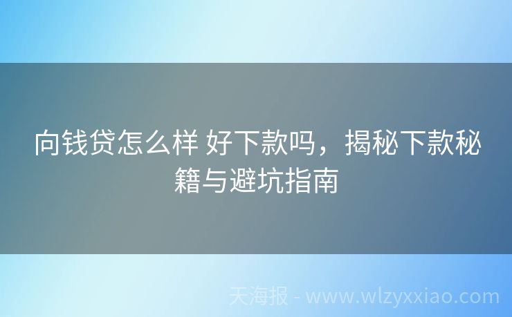 向钱贷怎么样 好下款吗，揭秘下款秘籍与避坑指南
