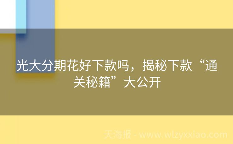 光大分期花好下款吗，揭秘下款“通关秘籍”大公开