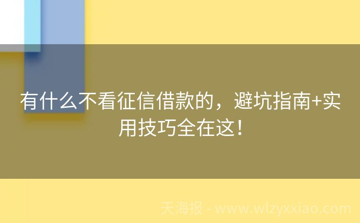 有什么不看征信借款的，避坑指南+实用技巧全在这！