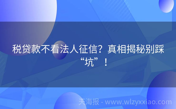 税贷款不看法人征信？真相揭秘别踩“坑”！
