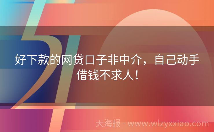 好下款的网贷口子非中介，自己动手借钱不求人！
