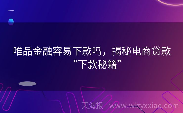 唯品金融容易下款吗，揭秘电商贷款“下款秘籍”