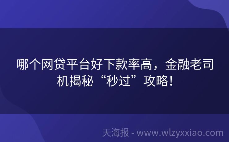 哪个网贷平台好下款率高，金融老司机揭秘“秒过”攻略！