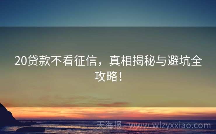 20贷款不看征信，真相揭秘与避坑全攻略！