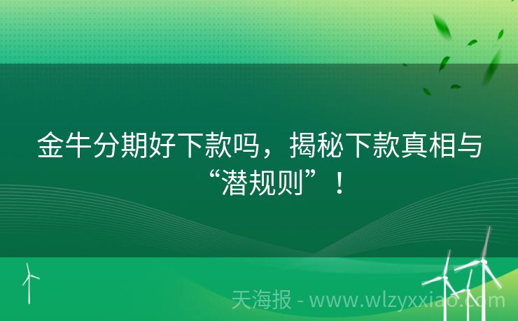 金牛分期好下款吗，揭秘下款真相与“潜规则”！