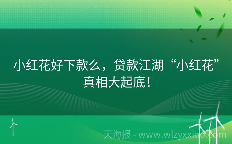 小红花好下款么，贷款江湖“小红花”真相大起底！