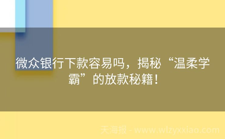 微众银行下款容易吗，揭秘“温柔学霸”的放款秘籍！