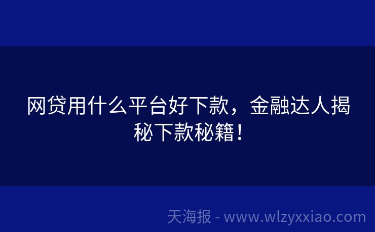 网贷用什么平台好下款，金融达人揭秘下款秘籍！