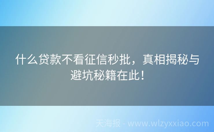 什么贷款不看征信秒批，真相揭秘与避坑秘籍在此！