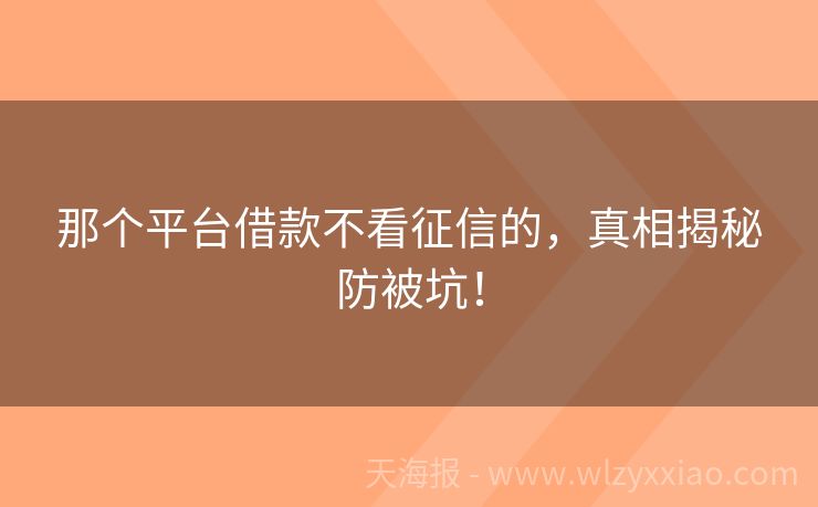 那个平台借款不看征信的，真相揭秘防被坑！