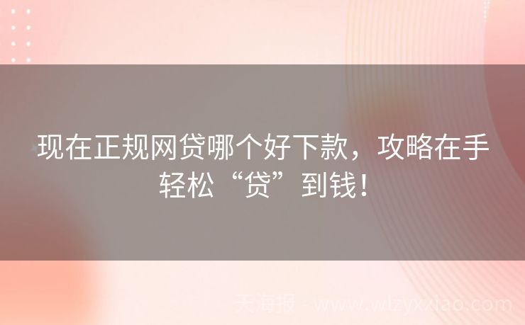 现在正规网贷哪个好下款，攻略在手轻松“贷”到钱！