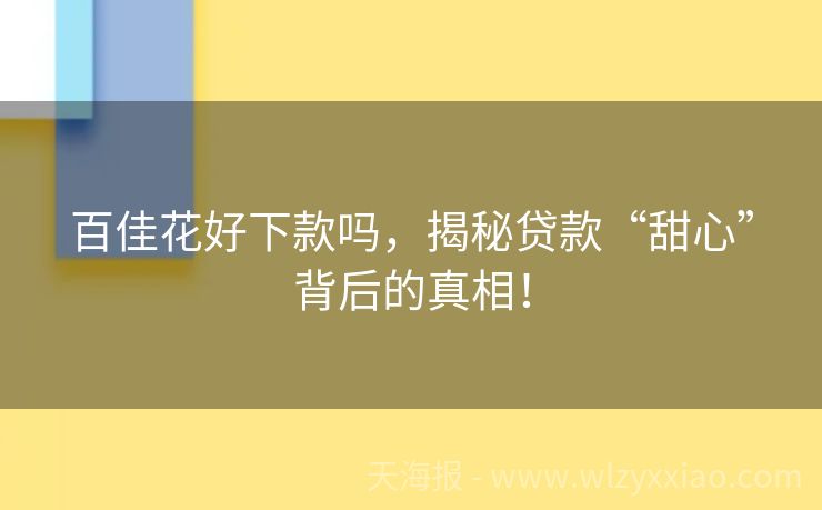 百佳花好下款吗，揭秘贷款“甜心”背后的真相！